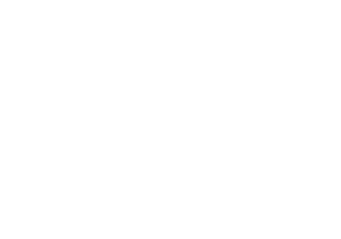 NZ Lifestyle Property Insurance Logo